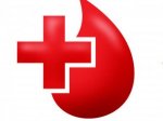 Развитие корпоративного донорства крови и корпоративного волонтерства в России