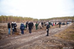 Компании Тетра Пак Украина и ПепсиКо Украина приняли участие в акции по возобновлению лесов