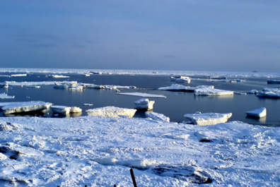«Роснефть» подвинет арктические льды