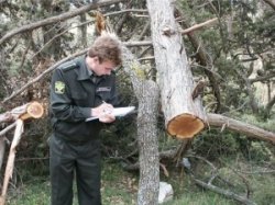 В Самарской области уволят 119 инспекторов экологического надзора