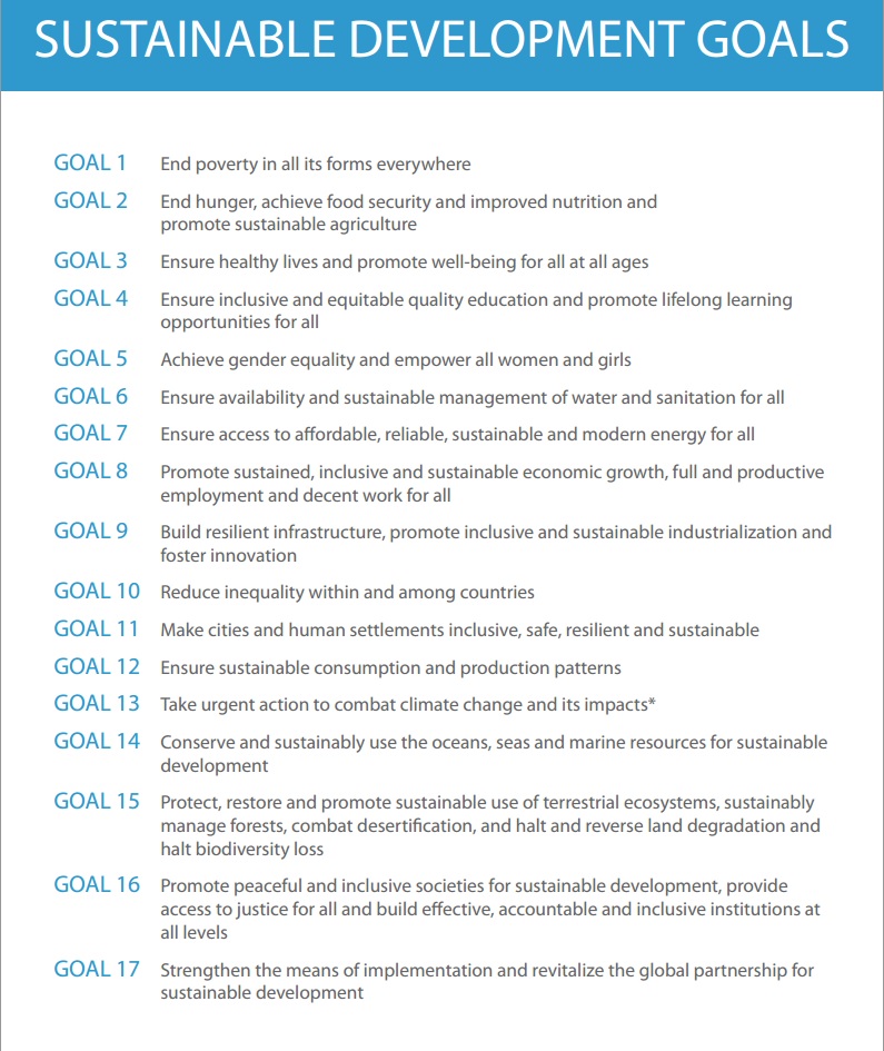 17 целей устойчивого развития ООН