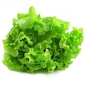 listja-salata-polza