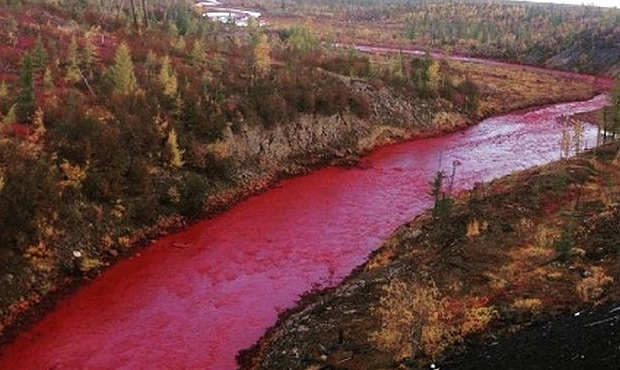 "Норильский никель" признал причастность к окрашиванию реки Далдыкан в красный цвет