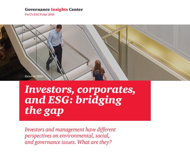 Отчет "Инвесторы, корпорации и ESG: заполняя брешь" 