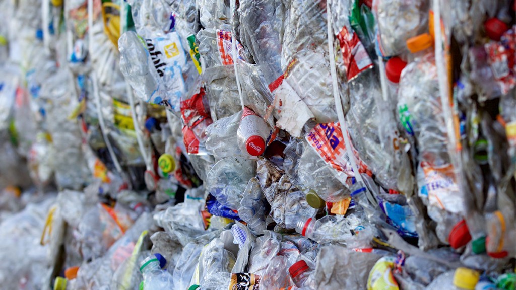 Coca-Cola Россия запустила собственную программу по сбору отходов потребительской упаковки