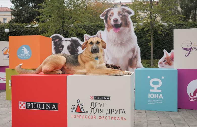 Фестиваль по пристройству бездомных животных «Друг для друга» прошел в Москве